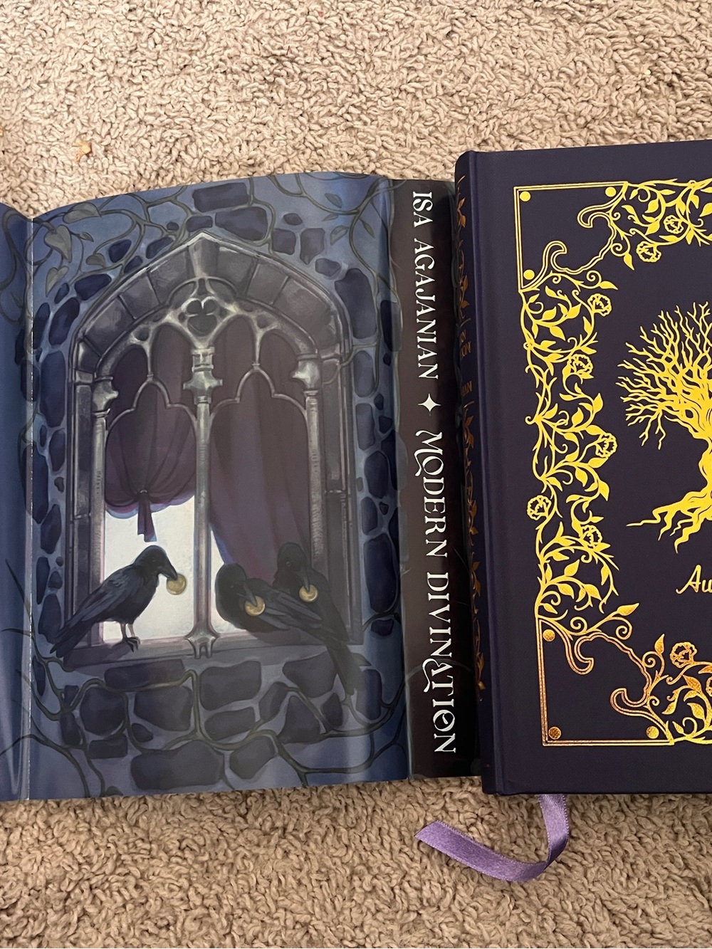 Modern Divination owlcrate edition book by Isa Agajanian - Picture 3 of 9